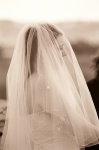 through the veil.jpg